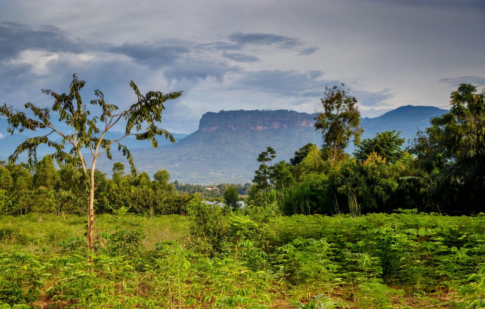 Mount Elgon National Park